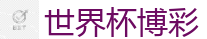 2026世界杯买球官方网站